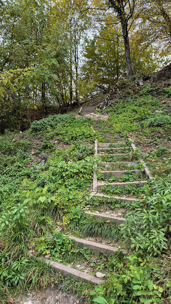 照片展示了通向坡道的木制台阶。图片下载