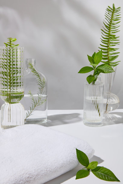 装饰有新鲜植物的化妆品广告模板照片图片下载