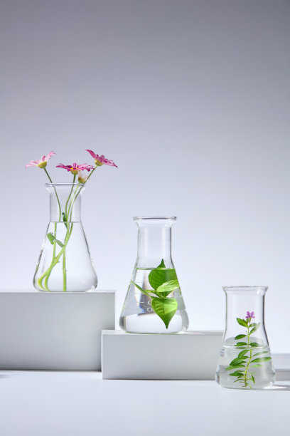 装饰有新鲜植物的化妆品广告模板照片图片下载