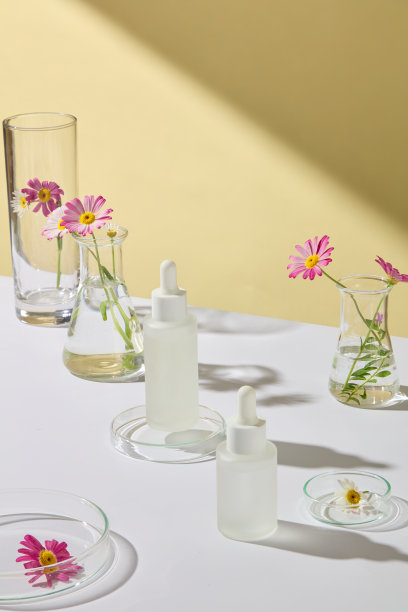 装饰有新鲜植物的化妆品广告模板照片图片下载