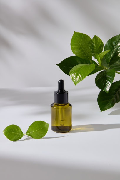 装饰有新鲜植物的化妆品广告模板照片图片下载