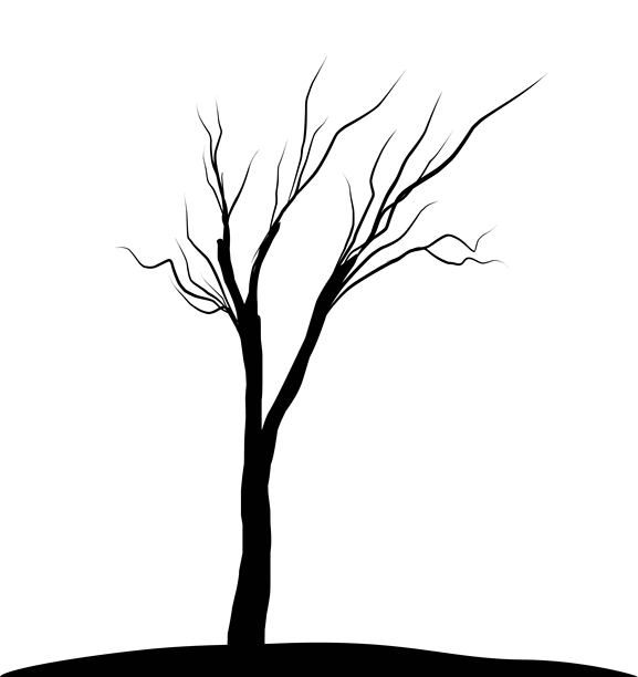 矢量插图轮廓森林和树干木材集合。艺术形状绘图和元素茎剪贴画。抽象孤立的枯树。图片下载