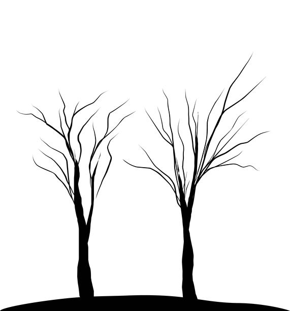 矢量插图轮廓森林和树干木材集合。艺术形状绘图和元素茎剪贴画。抽象孤立的枯树。图片下载