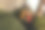 一个幼儿在手机上浏览她的家庭照片。情人节，家庭团聚。妈妈、爸爸和即将出生的宝宝。特写照片。图片下载