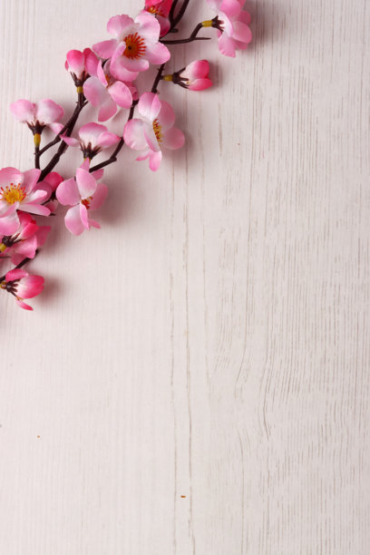 中国新年装饰元素照片，花朵金色盛开，传统照片，亚洲背景，红色图片下载