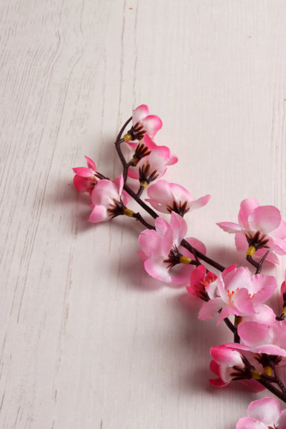 中国新年装饰元素照片，花朵金色盛开，传统照片，亚洲背景，红色图片下载