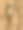 大芦苇莺栖息在树枝上，特写照片背景明亮。图片下载