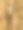 大芦苇莺栖息在树枝上，特写照片背景明亮。图片下载