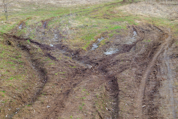 春季初期，草地森林中的泥土小路上留下深深的轮胎印。自然风光的户外照片。图片下载