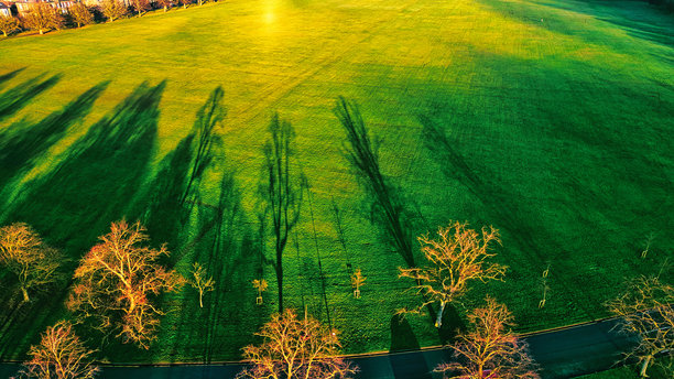 公园草坪的航拍照片，树影斑驳图片下载