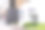 日本东京品川 - 2024年5月31日 - 学生们参观松下水族馆品川入口的照片图片下载