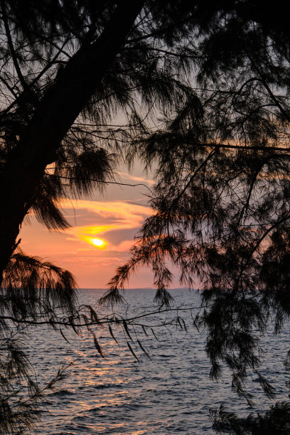 前景中有树枝剪影的照片，背景是红色黄昏的落日场景，云层覆盖在波涛汹涌的开阔海洋上。图片下载