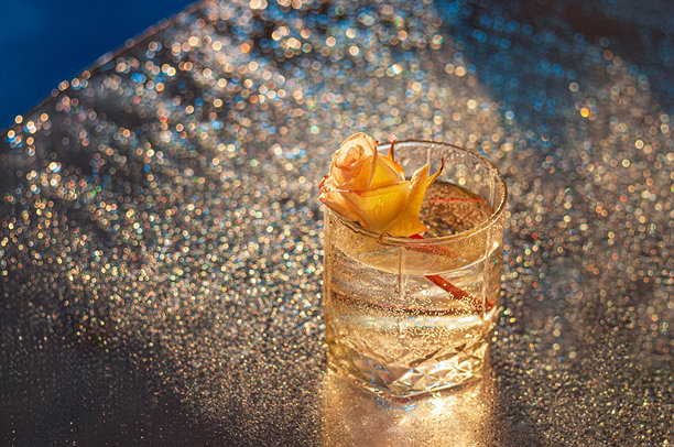 玻璃中的玫瑰。闪亮的虚化效果。黑暗的照片。浪漫与情感。艺术照片图片下载