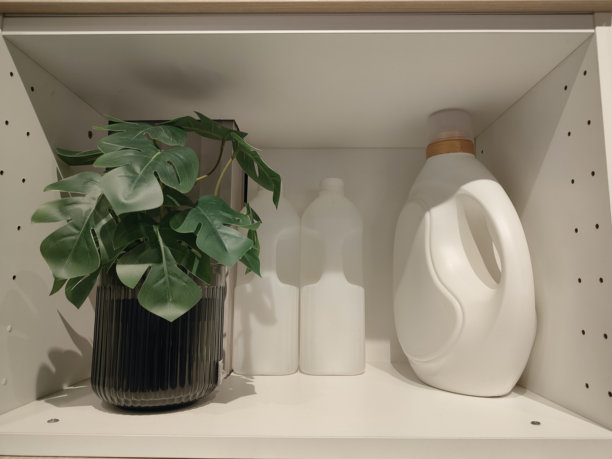 一个白色橱柜，上面放着两个大塑料洗衣液瓶和一盆龟背竹，库存照片图片下载