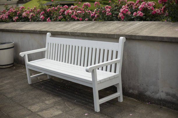 花园中的白色长椅，背景是玫瑰灌木，库存照片图片下载