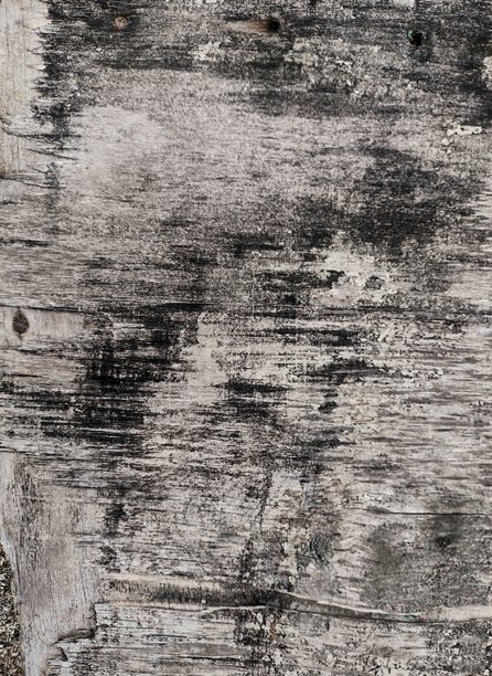 单色老旧木纹纹理：完美适用于乡村背景或复古设计，高质量风化木材表面照片图片下载
