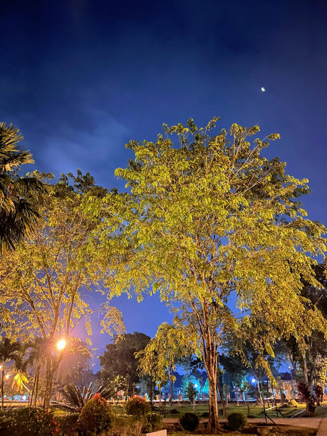 房子附近公园的夜景照片图片下载