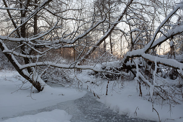 被雪覆盖的树木和冰冻溪流的风景。冬季森林中的小河，适用于出版、设计、海报、日历、帖子、屏保、壁纸、贺卡和封面。高质量照片。图片下载