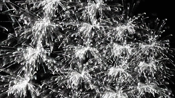 新年前夜的烟花。植物特写黑白照片背景。自然植物图片下载