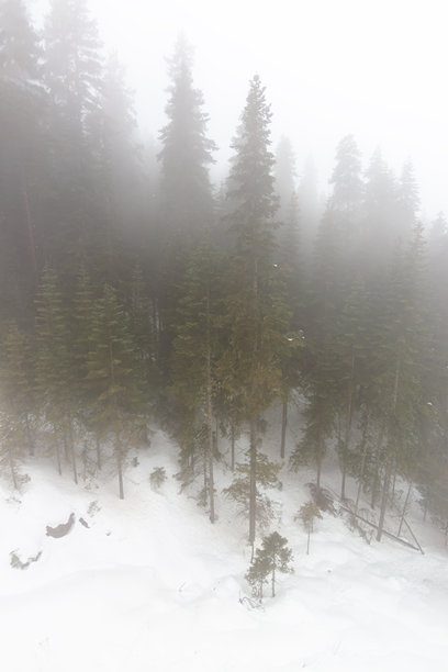 卡斯塔莫努/伊尔加兹山滑雪中心的椅子滑雪缆车视角，寒冷而雾蒙蒙的天气，库存照片图片下载