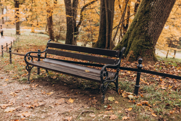 秋季公共公园中的木长椅。供休息和放松的长椅。高质量照片。金色秋天图片下载