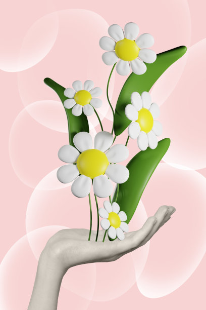 手掌照片拼贴艺术，采集白色雏菊花，孤立的图形背景图片下载