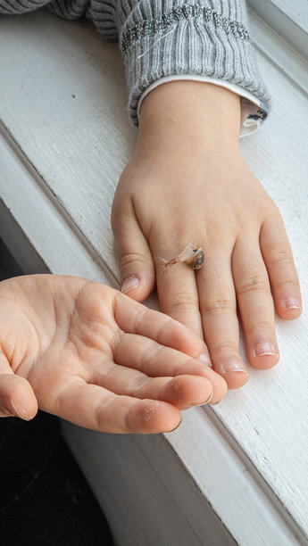 一个孩子好奇地观察着一只蜗牛在他们的手上爬行，这一刻捕捉了探索的宁静时光。这张图片展示了童年的奇妙与与自然的联系。图片下载