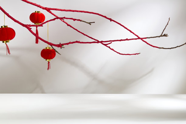 白色背景上展示产品的空白空间正面视图。深红色的灯笼从覆盖着红色布料的树枝上摇曳。适用于产品广告照片的春节主题。图片下载