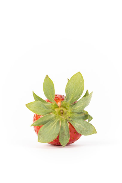 在白色照片背景的中央，静静躺着一颗成熟的草莓，健康的维生素，季节性的夏季水果，富含维生素C，绿色的草莓蒂像一顶皇冠。图片下载