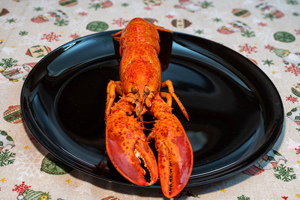 黑盘子里的红龙虾俯视照片。图片下载