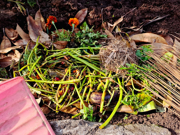 一堆生机勃勃的厨房废料、树叶和植物修剪物，准备转化为富含营养的堆肥。这张图片展示了可持续园艺和减少废物的过程。图片下载