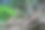 森林中的溪流，数字照片作为背景图片下载