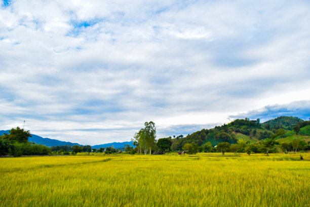 捕捉到泰国春武里府科兰岛海洋与蔚蓝天空交融的照片，唤起了一种宁静之美和海岸的宁静感，令人感到放松。图片下载