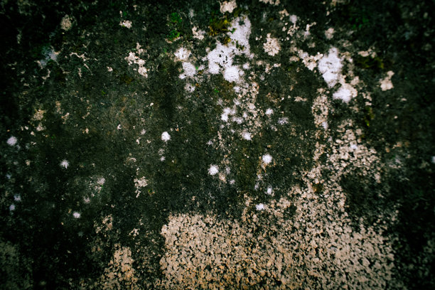 一张粗糙、肮脏且布满藻类的水泥地面照片。图片下载