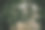 一张粗糙、肮脏且布满藻类的水泥地面照片。图片下载