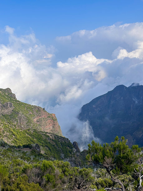 马德拉岛PR1葡萄牙森林火灾的后果，蓝天、雾气、绿意盎然，粗糙的烧焦土地，戏剧性的对比，徒步小径，山谷、山脉、悬崖、丘陵，生态自然的联系，无人景观，垂直照片。图片下载