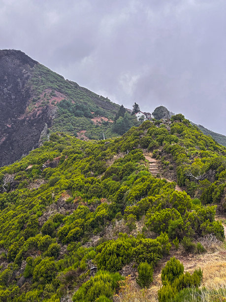 马德拉岛徒步旅行小径，山谷森林火灾的后果，绿色植被与粗糙的烧焦土地形成戏剧性的对比，山脉、悬崖、山丘、雾气和自然生态的联系，荒野中无人，垂直照片。图片下载
