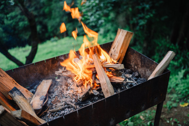 自然中的木柴烧烤。夏季休闲。高质量照片图片下载