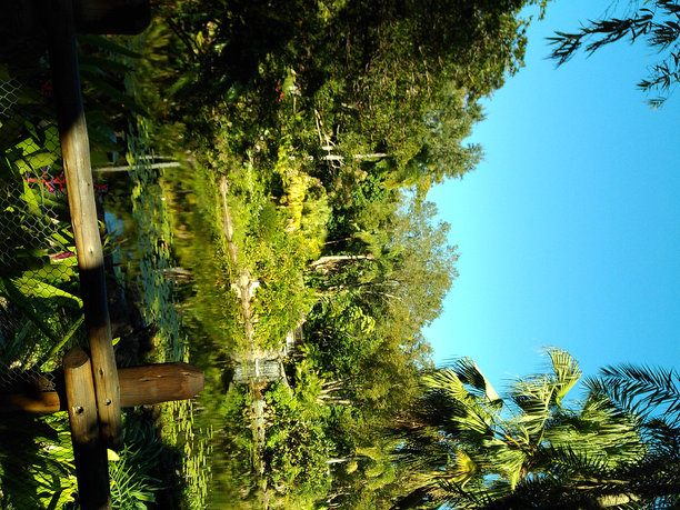 2024年秋季户外水边自然步道上郁郁葱葱的植物和树木的情绪电影照片图片下载