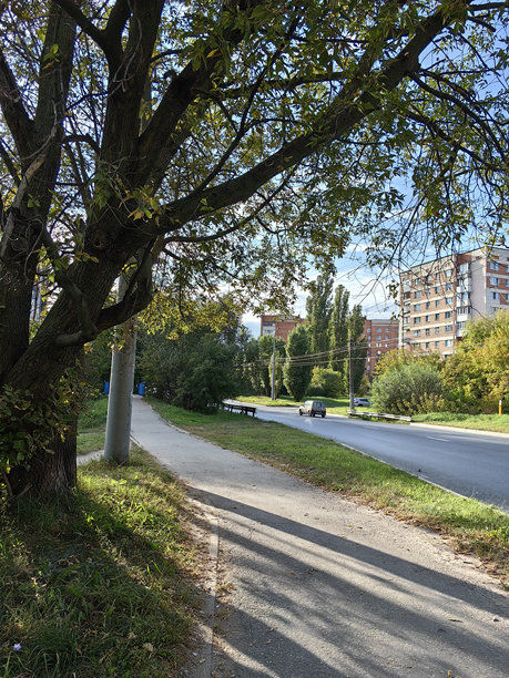 一条城市道路上有一辆车，路边有人行道和步道，远处有一棵树和多层建筑。初秋。俄罗斯。下诺夫哥罗德。普罗斯维申斯卡亚街。2024年9月。照片。图片下载