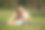 宁静而安静的早晨。年轻灵活的女性在阳光明媚的公园草地上做背部锻炼的动态照片。图片下载