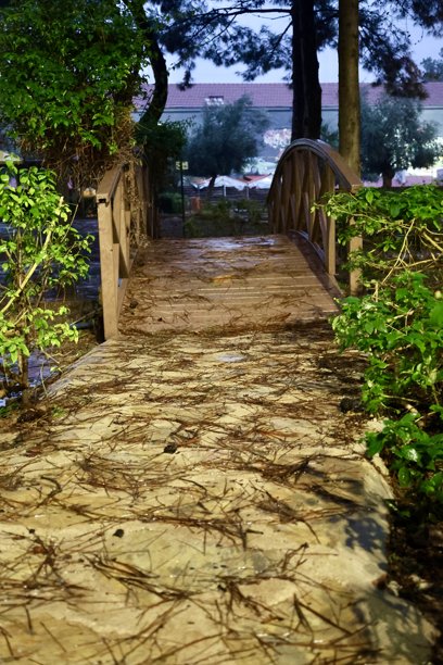 绿色长椅上的雨水 高质量照片图片下载