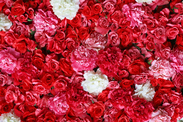 玫瑰花卉布置装饰墙面的特写背景素材照片图片下载