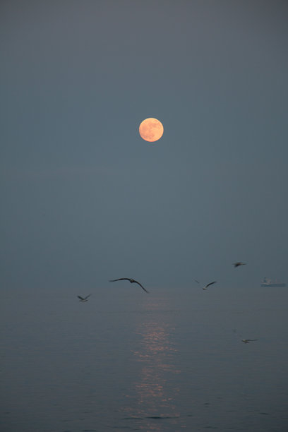 阴霾的阴天覆盖在水面上的全景户外照片。图片下载