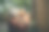 亚洲祖母和祖父在婚礼上享受了照片亭，一起拍了照片。图片下载