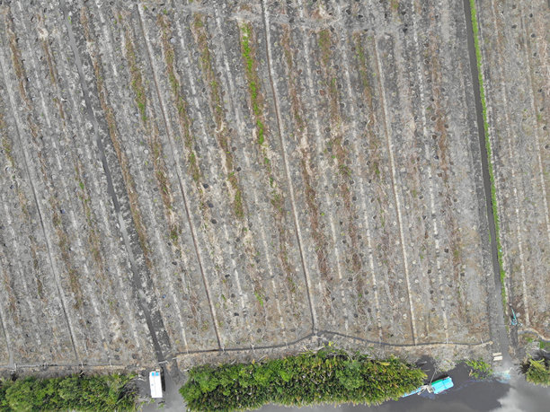 森林砍伐。印尼雨林的航拍照片图片下载