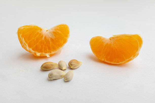 白色背景上的柑橘切片和五颗种子。成熟的橙色水果组合，适用于出版、海报、日历、帖子、屏保、壁纸、明信片、横幅和封面。高质量照片图片下载