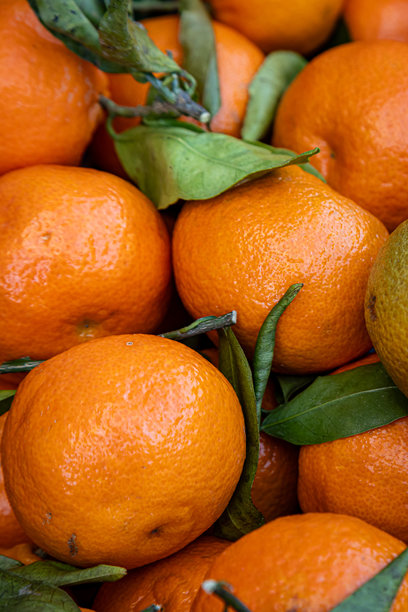 市场摊位上出售的满框橘子照片图片下载