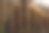 温暖灯光下马厩栏杆后马的特写照片图片下载