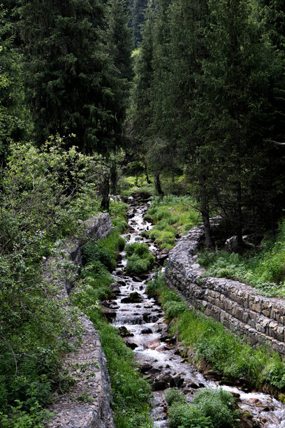 这张照片展示了一条源自悲伤森林的河流。图片下载